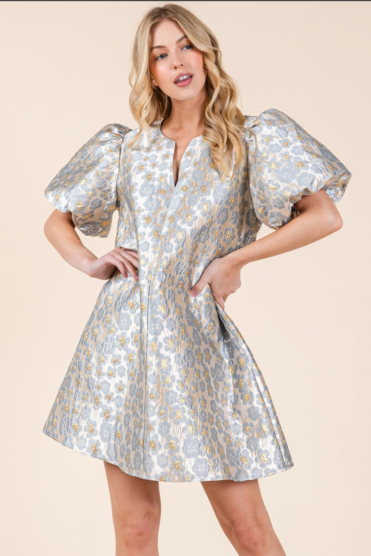 Floral Embroidered Mini Dress